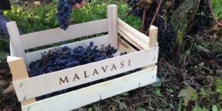 Pozzolengo: CANTINA “MALAVASI” COMPIE 10 ANNI. Pozzolengo: CANTINA “MALAVASI” COMPIE 10 ANNI.