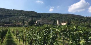 Tempo di raccolta all’Azienda Agricola Arvedi Tempo di raccolta all’Azienda Agricola Arvedi