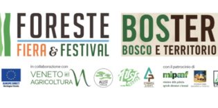 Veneto: Fiera e Festival delle Foreste