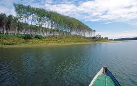 fiume PO