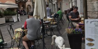 Desenzano del Garda (Bs) LO STORICO BAR BOSIO