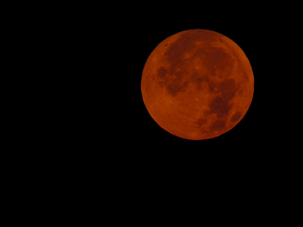 luna_rossa LUCA