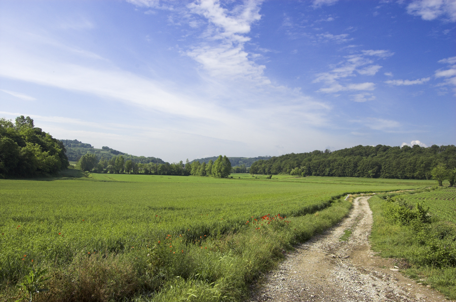 Colline_moreniche_del_Garda