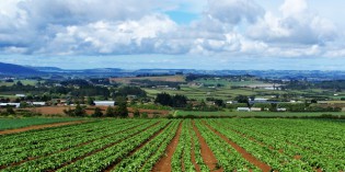 Determinazione dei Valori Agricoli medi per il 2012, concordato dai Membri della Commissione Provinciale Espropri nella seduta del 23 gennaio.