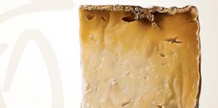 AROMA: Un viaggio sensoriale alla scoperta dei formaggi D.O.P.
