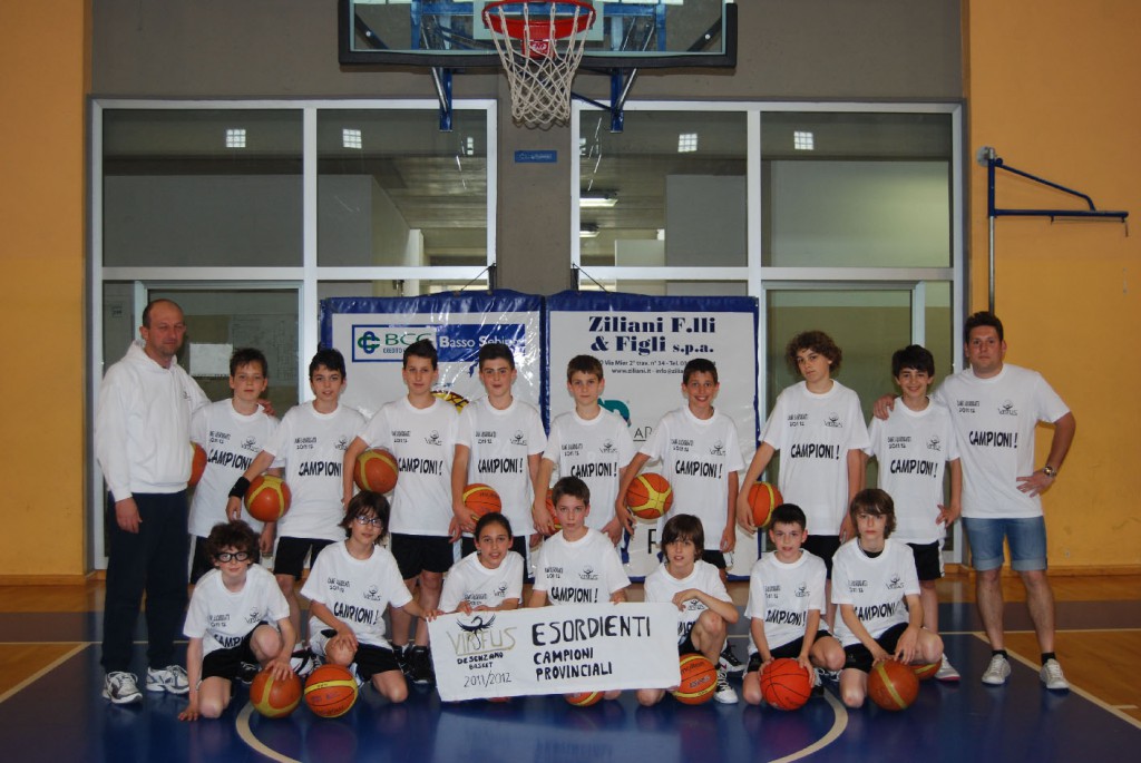 Virtus Desenzano Basket