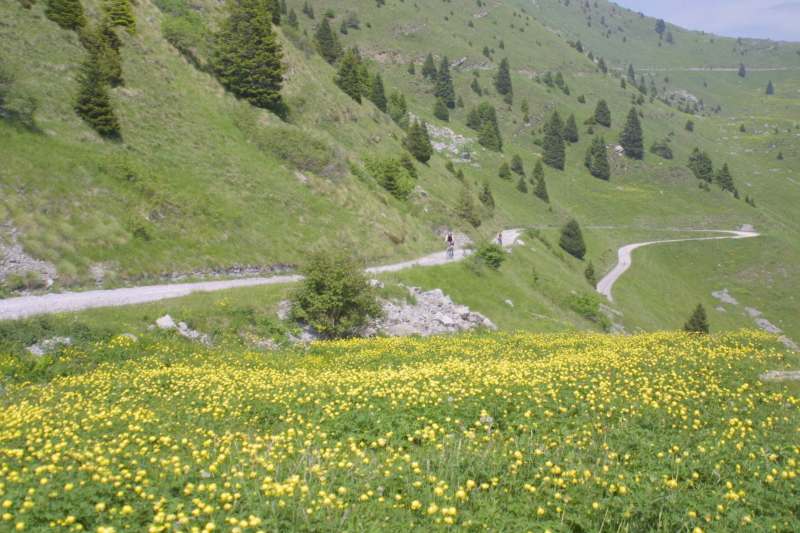Parco-alto-Garda1