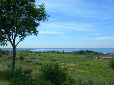 vigneti di Bardolino (Verona) Italia - 2 - foto di paola giagulli -bassa
