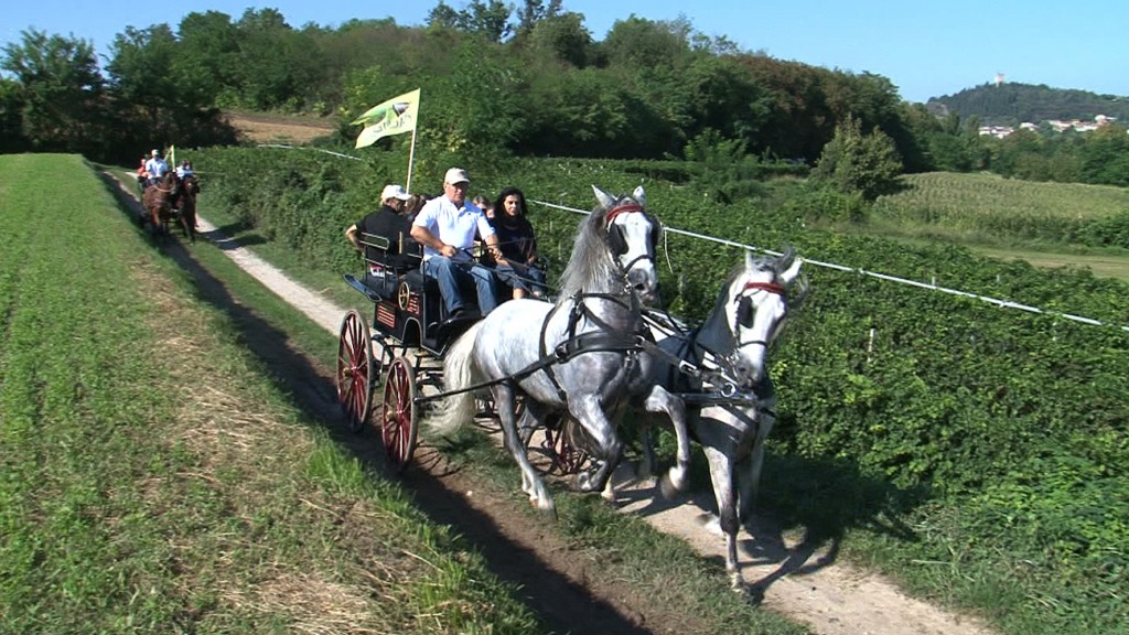 13-Passaggio di Solferino