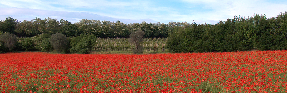 575_lago-garda-colline-moreniche-06