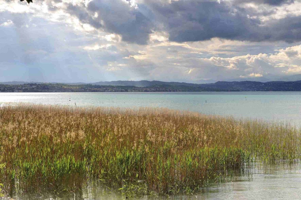 Oasi Canneto Sud_byGiorgioMutti