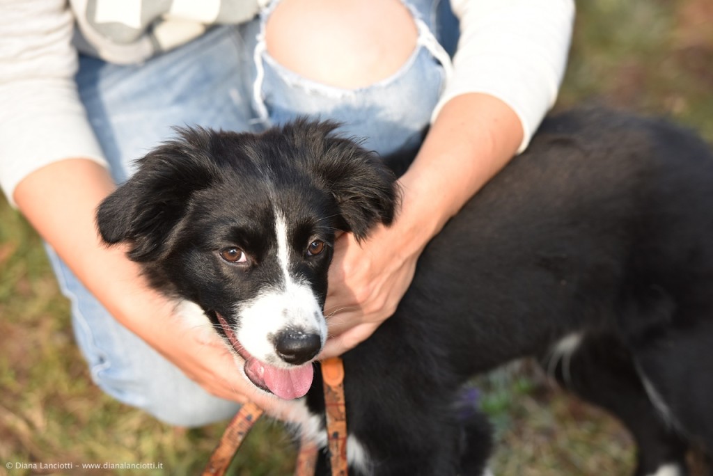 cane - capirsi per amarsi