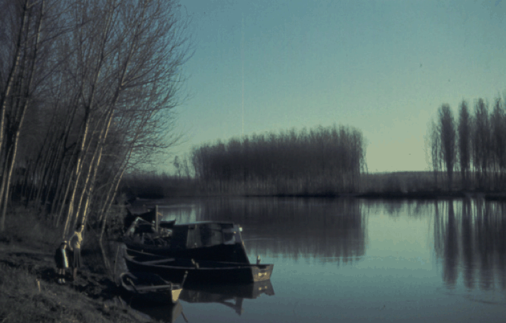 fiume PO