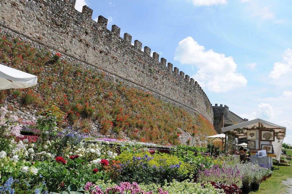 Lonato - Fiori nella Rocca