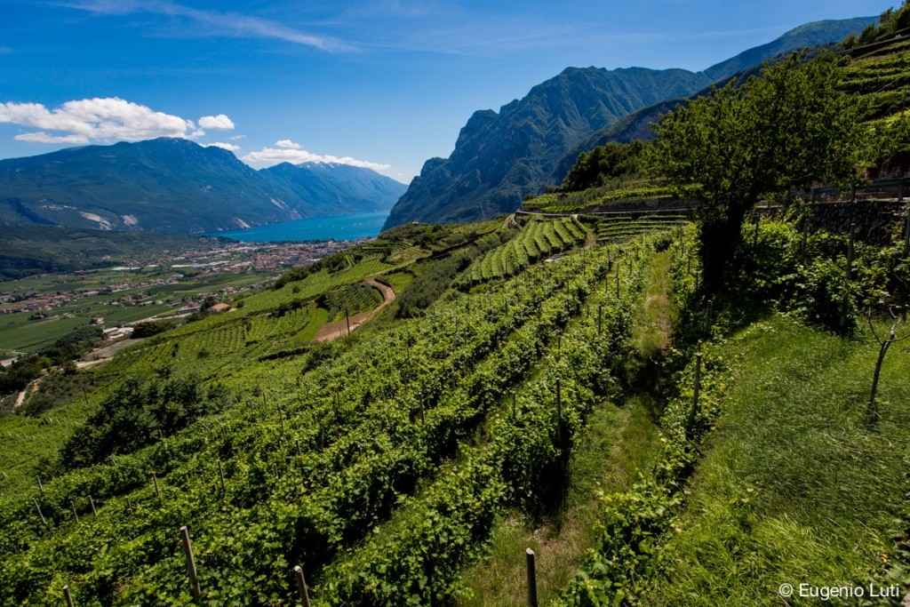 Agraria Riva del Garda - foto di E.Luti - lr