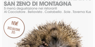 San Zeno di Montagna (VR): castagne, Bardolino & Monte Veronese