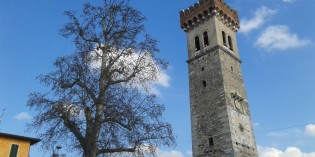 Lonato del Garda: censimento degli alberi monumentali
