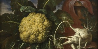 Torino – “Eccentrica Natura. Frutti e ortaggi stravaganti e bizzarri nei dipinti di Bartolomeo Bimbi per la famiglia Medici”