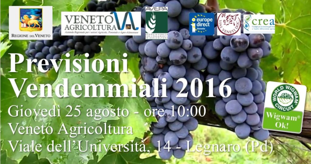 wigwam-banner-veneto-agricoltura-vendemmiali-2016-1