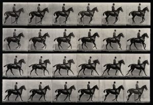 Muybridge 1