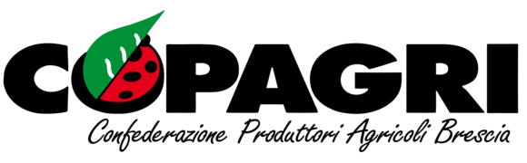 ajaxmail