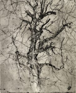 7 - Giancarlo Vitali.Albero.1990.acquaforte(40,4x32,5cm)