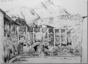 limonaie disegno