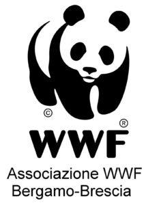 wwf Bergamo - Brescia