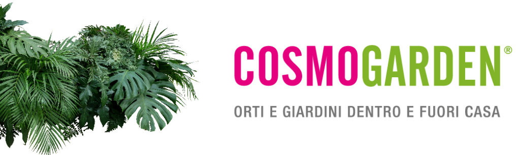 cosmogarden 2019