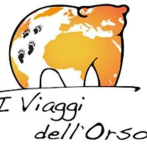 i viaggi dell'orso