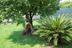 Centro Shrimala Il giardino