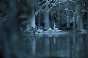 Geng Xue_Mr. Sea_Video digitale_13’09’’_2013-2014_02