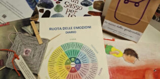 Sistema bibliotecario Nord-Est bresciano:  <br> una ricerca sul ruolo culturale e sociale delle biblioteche